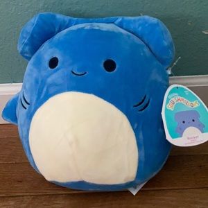 Rocket the hammerhead shark